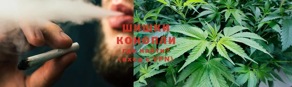 прущий лед Заводоуковск
